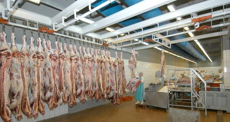 Дезинсекция на мясокомбинате в Жуковском, цены на услуги