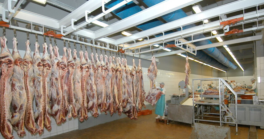 Дезинсекция на мясокомбинате в Жуковском, цены на услуги